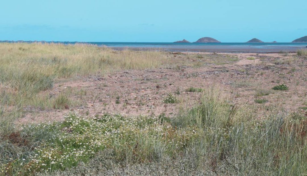 Anse de Beauport à Paimpol avec herbes marines et îlots au large
