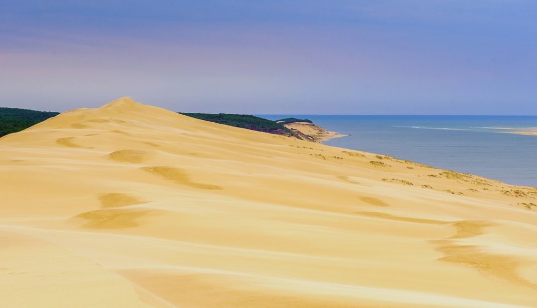 Grande Dune du Pilat vue depuis le sommet avec l'océan Atlantique et la forêt de pins en arrière-plan