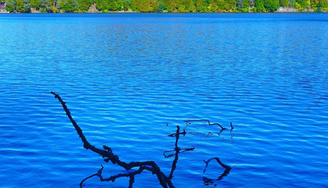 Eaux bleues vives du lac Pavin en Auvergne avec végétation en arrière-plan