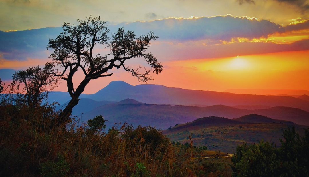 Savane d'Afrique du Sud au lever du soleil avec un arbre et des collines
